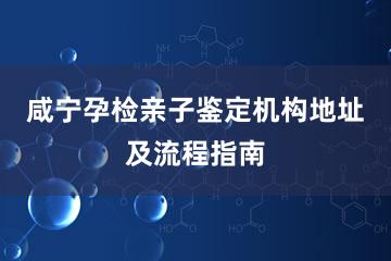 咸宁孕检亲子鉴定机构地址及流程指南